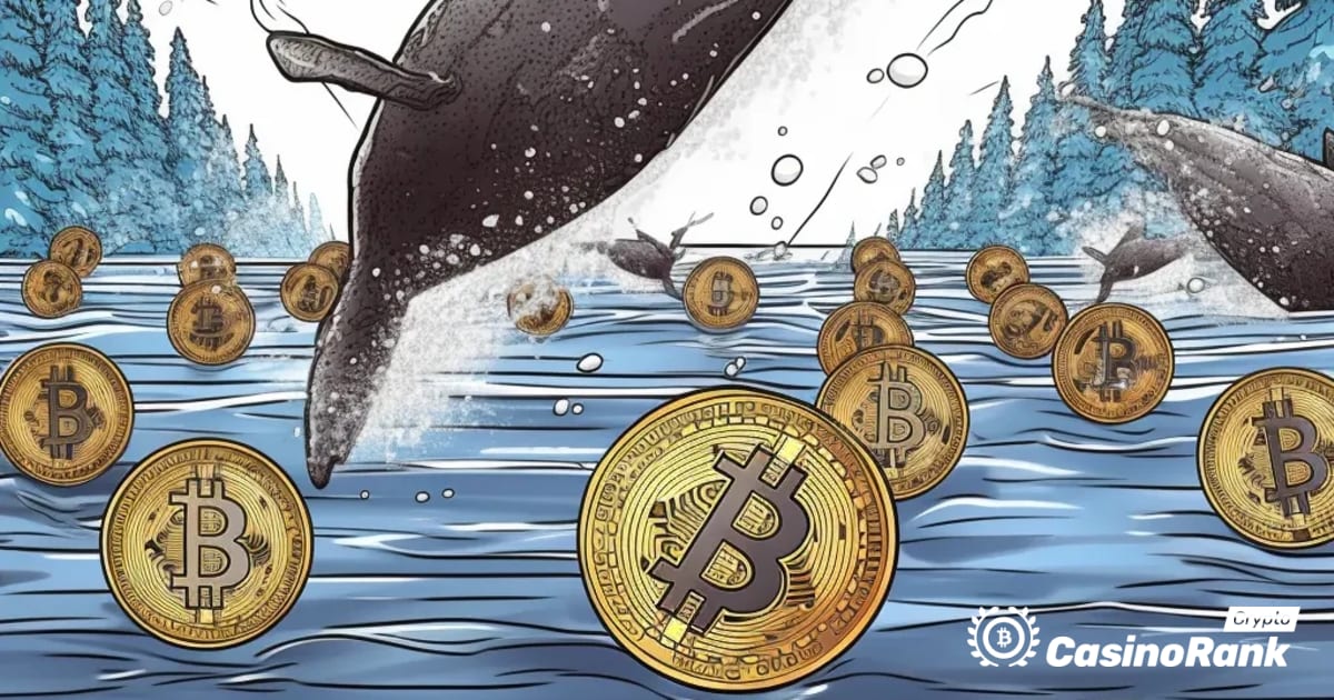 仮想通貨市場のクジラの動き：MATICトークンとSOLトークンの譲渡